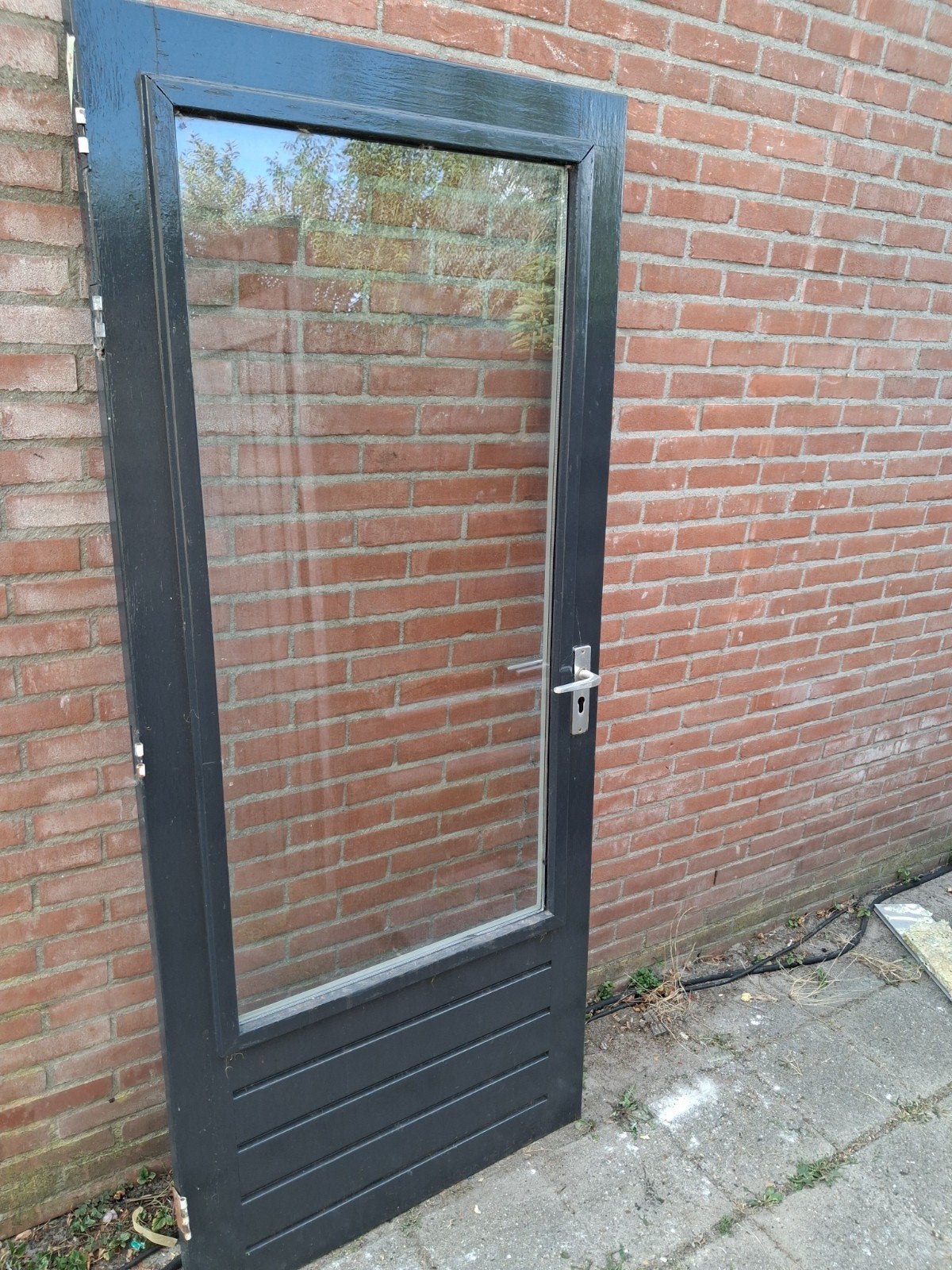 hardhouten achterdeur88x201.5 met dubbelglasborsthoogte55cm, Ophalen, 80 tot 100 cm, Zo goed als nieuw, 200 tot 215 cm