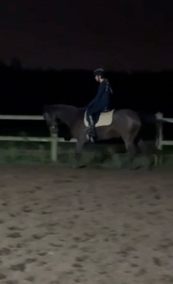 Bijrijdpaard / verzorgpony gezocht!, Dieren en Toebehoren, Ophalen, Zo goed als nieuw