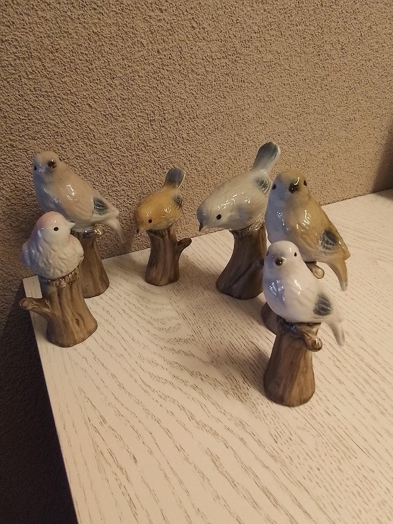 Serie van 6 vogels van steen in een koop nieuw prijs 17,50, Ophalen of Verzenden, Nieuw, Dier