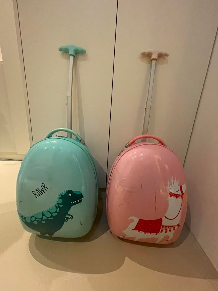 2 leuke kinderkoffers, Ophalen, Zo goed als nieuw, Overige materialen, Minder dan 25 cm