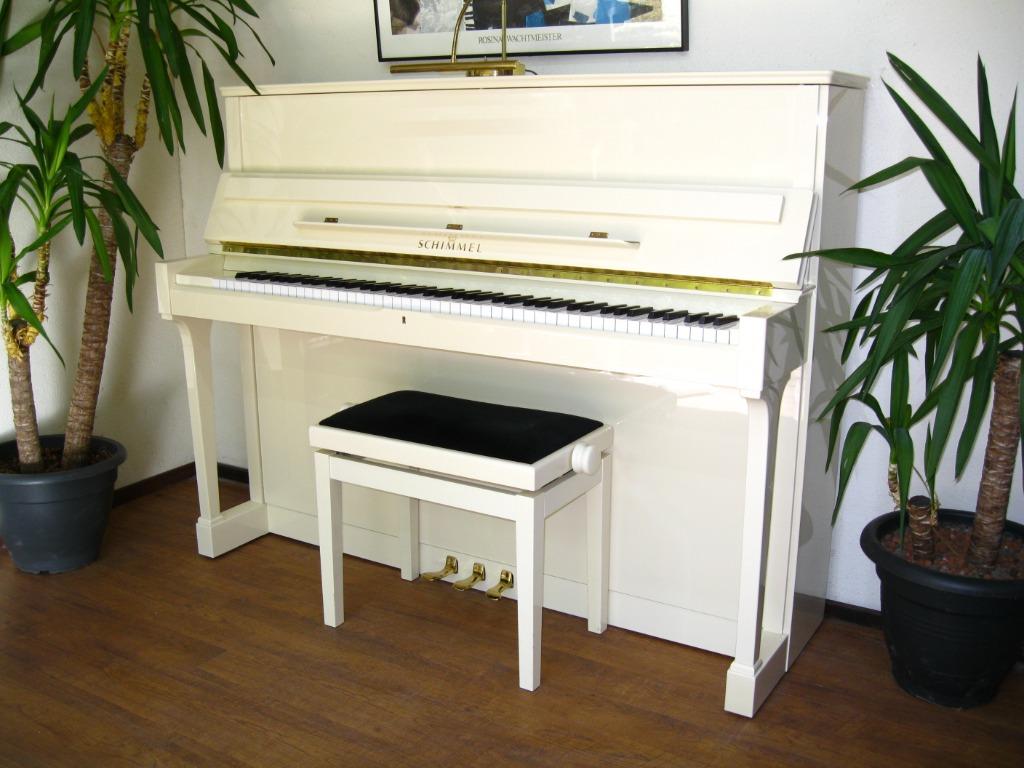 Schimmel 118 T