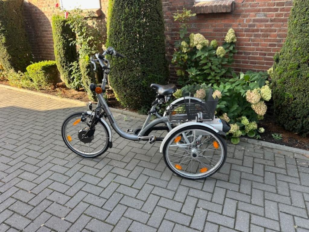 Van Raam Maxi - Elektrische Driewielfiets, Ophalen of Verzenden, Zo goed als nieuw, Van Raam