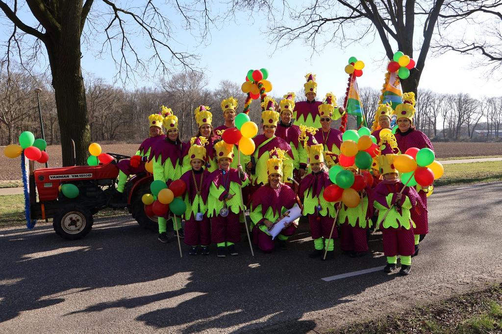Loopgroep carnaval, Ophalen of Verzenden, Zo goed als nieuw, Carnaval, Kleding