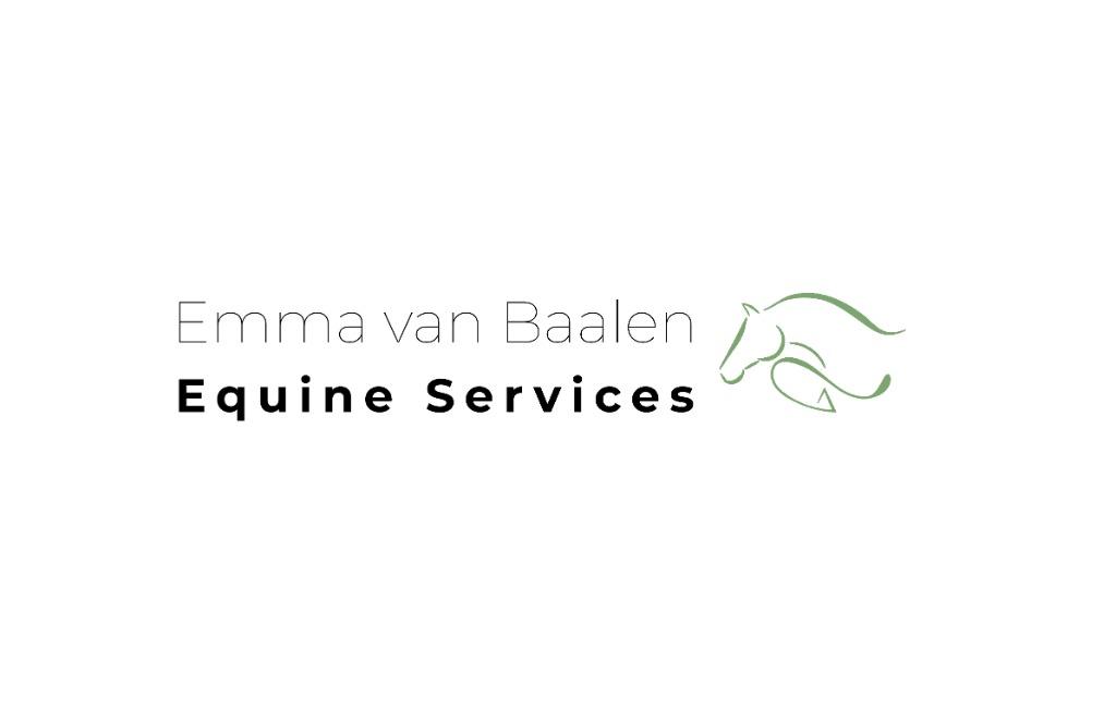 Instructie vanuit harmonie!, Ruiter of Bijrijder