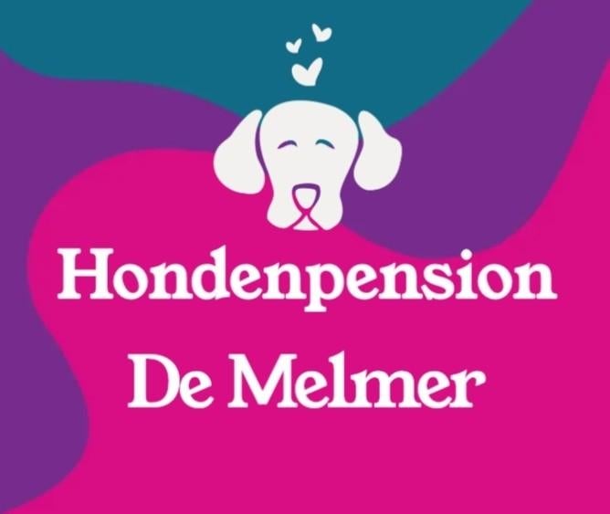 Hondenoppas - hondenpension - hondenopvang -dagopvang hond., Pension of Dagopvang