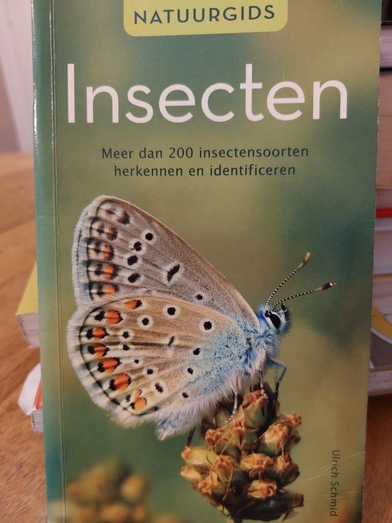 Natuurgids Insecten, Boeken, Ophalen of Verzenden