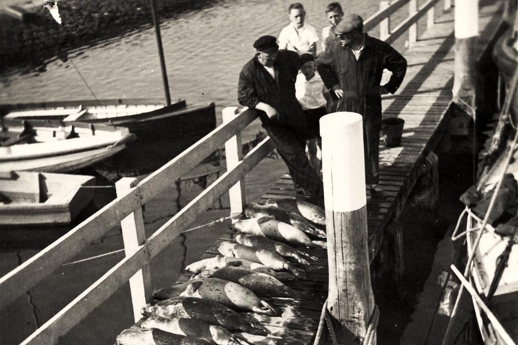 Terschelling, Ophalen of Verzenden, 1920 tot 1940, Waddeneilanden