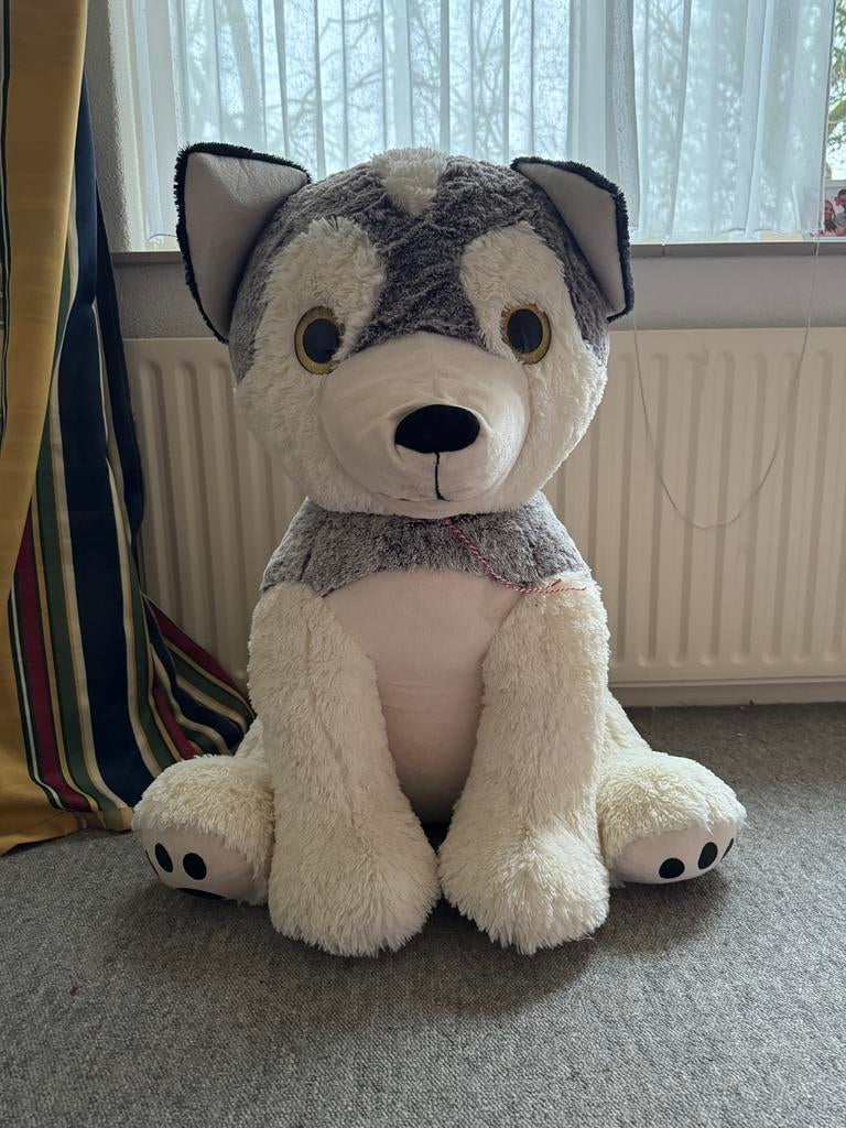 Knuffel husky, Ophalen, Zo goed als nieuw