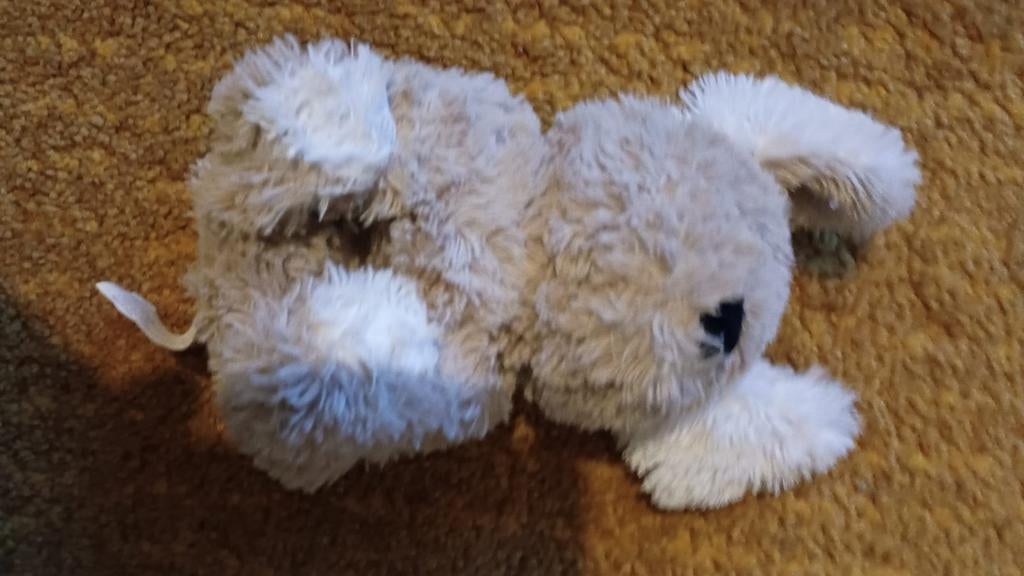 Koala knuffel, Kinderen en Baby's, Speelgoed | Knuffels en Pluche, Ophalen of Verzenden, Zo goed als nieuw, Overige typen