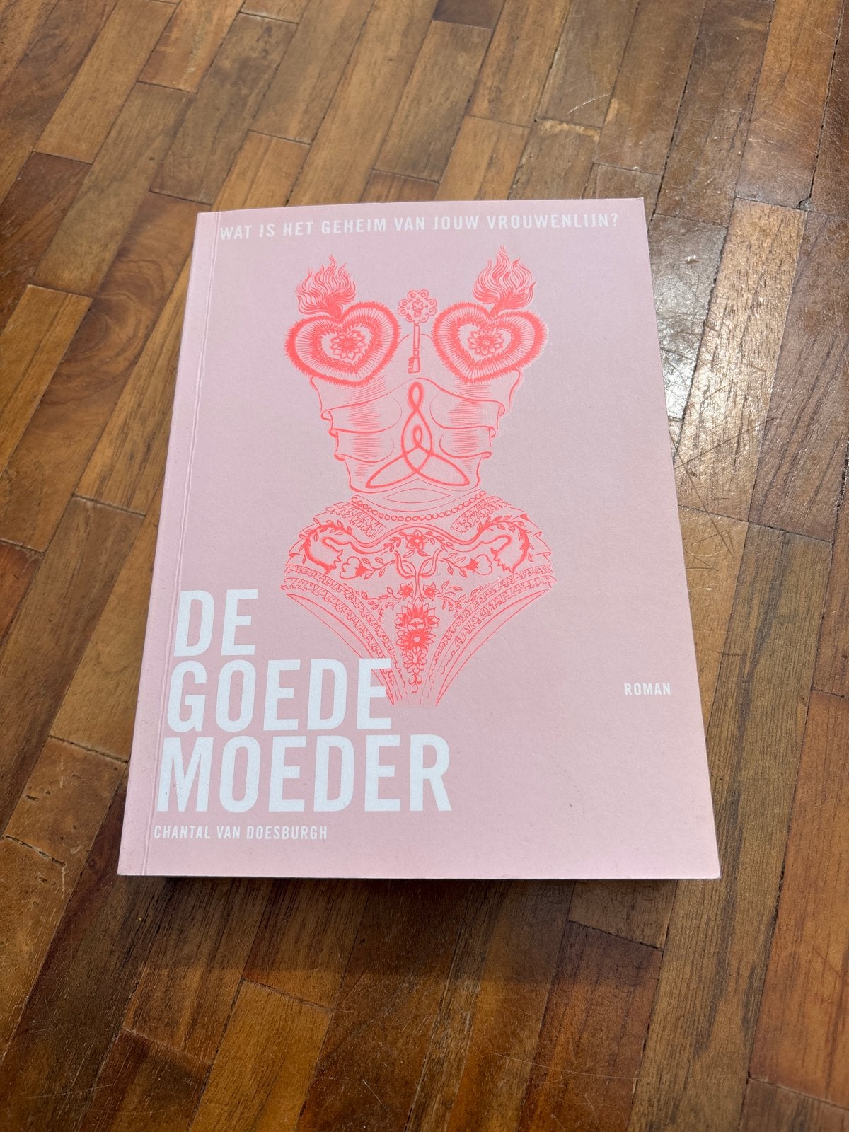 De Goede Moeder - Chantal van Doesburgh Roman, Ophalen of Verzenden, Zo goed als nieuw, Nederland