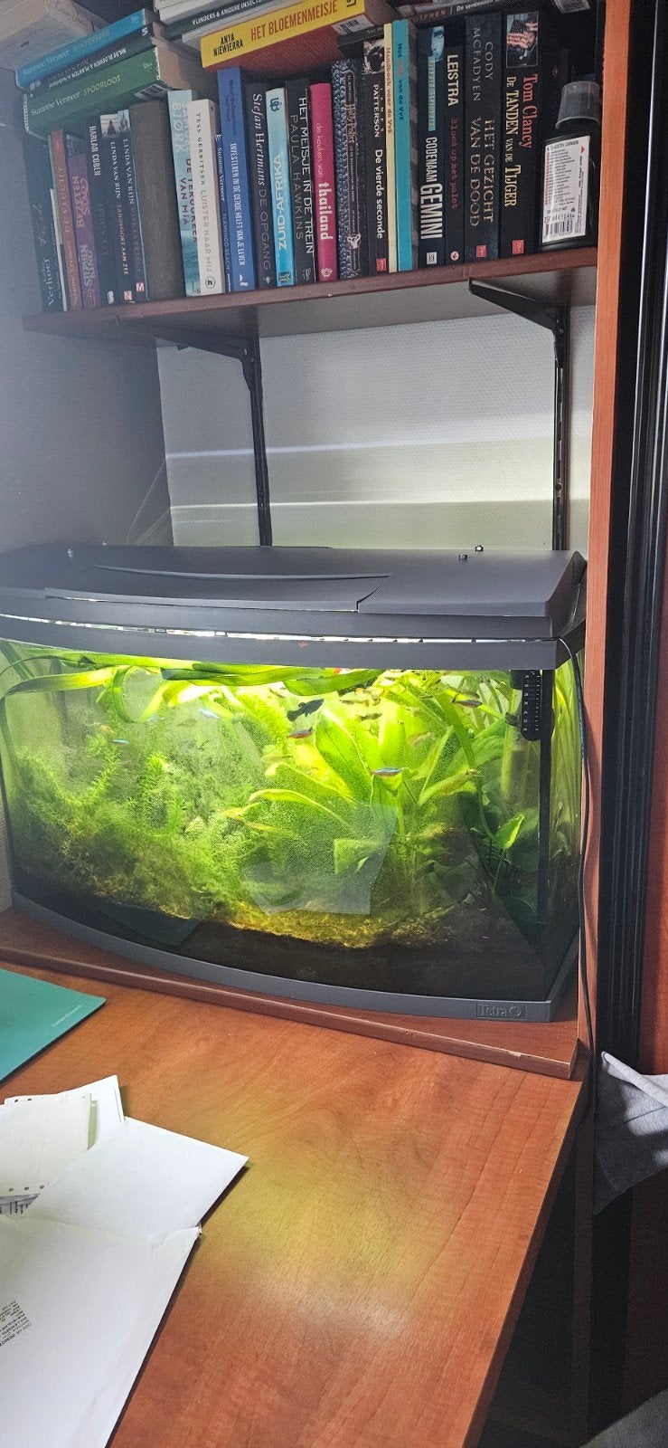 aquarium met diverse vissen. evt ook nog een paar kleinere v, Ophalen, Gevuld zoetwateraquarium