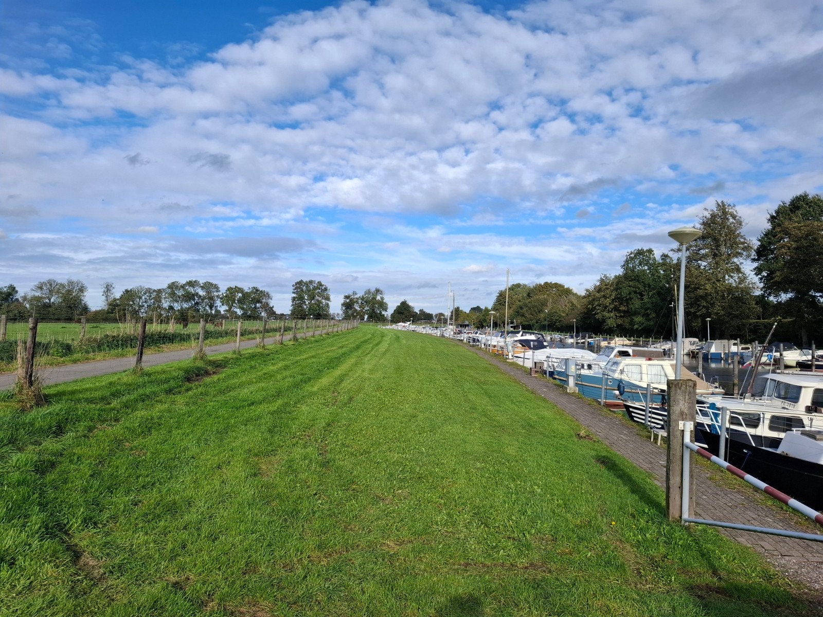 grasland of weiland te huur voor schapen, Dieren en Toebehoren