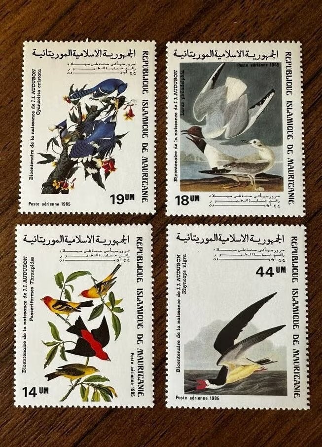 Mauritanië 1985 Vogels Postfris - J.J. Audubon Bicentennial, Ophalen of Verzenden, Postfris