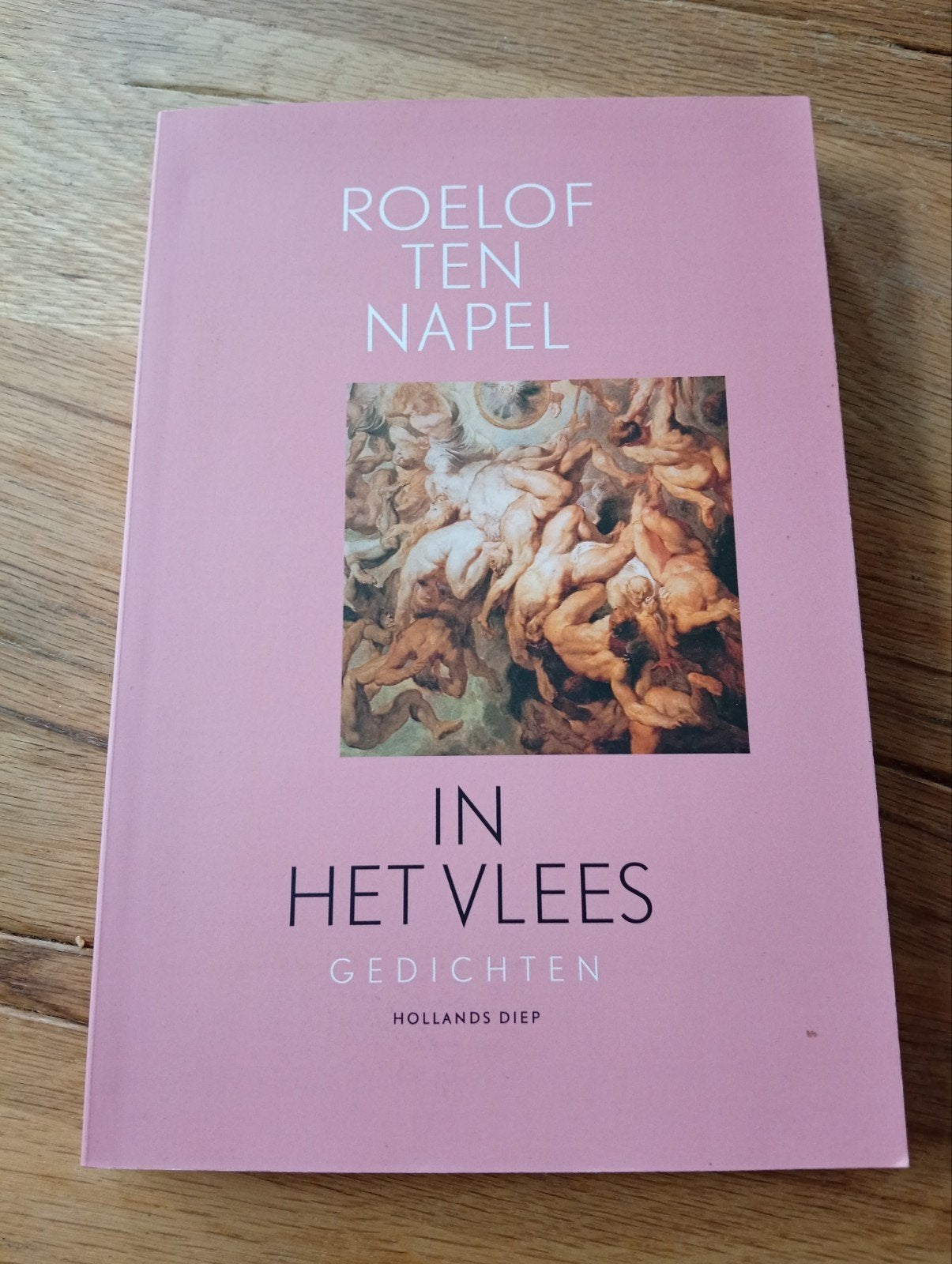Roelof ten Napel - In het Vlees (Gedichten), Ophalen of Verzenden