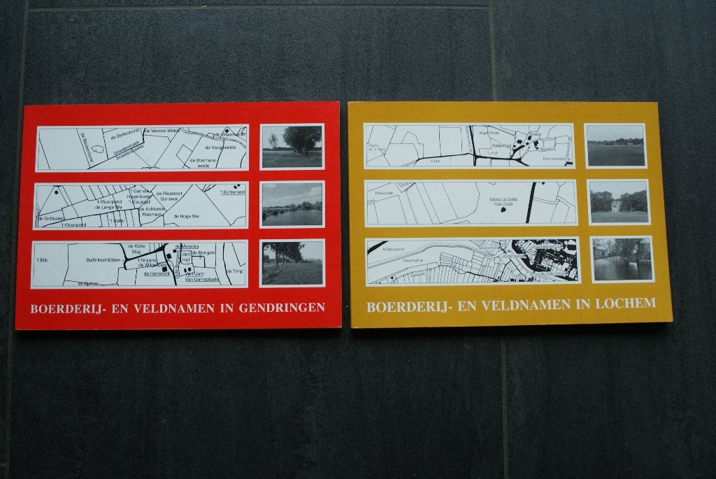 BOERDERIJ- en VELDNAMEN IN: GENDRINGEN / LOCHEM, Boeken, Geschiedenis | Stad en Regio, Ophalen of Verzenden, 20e eeuw of later