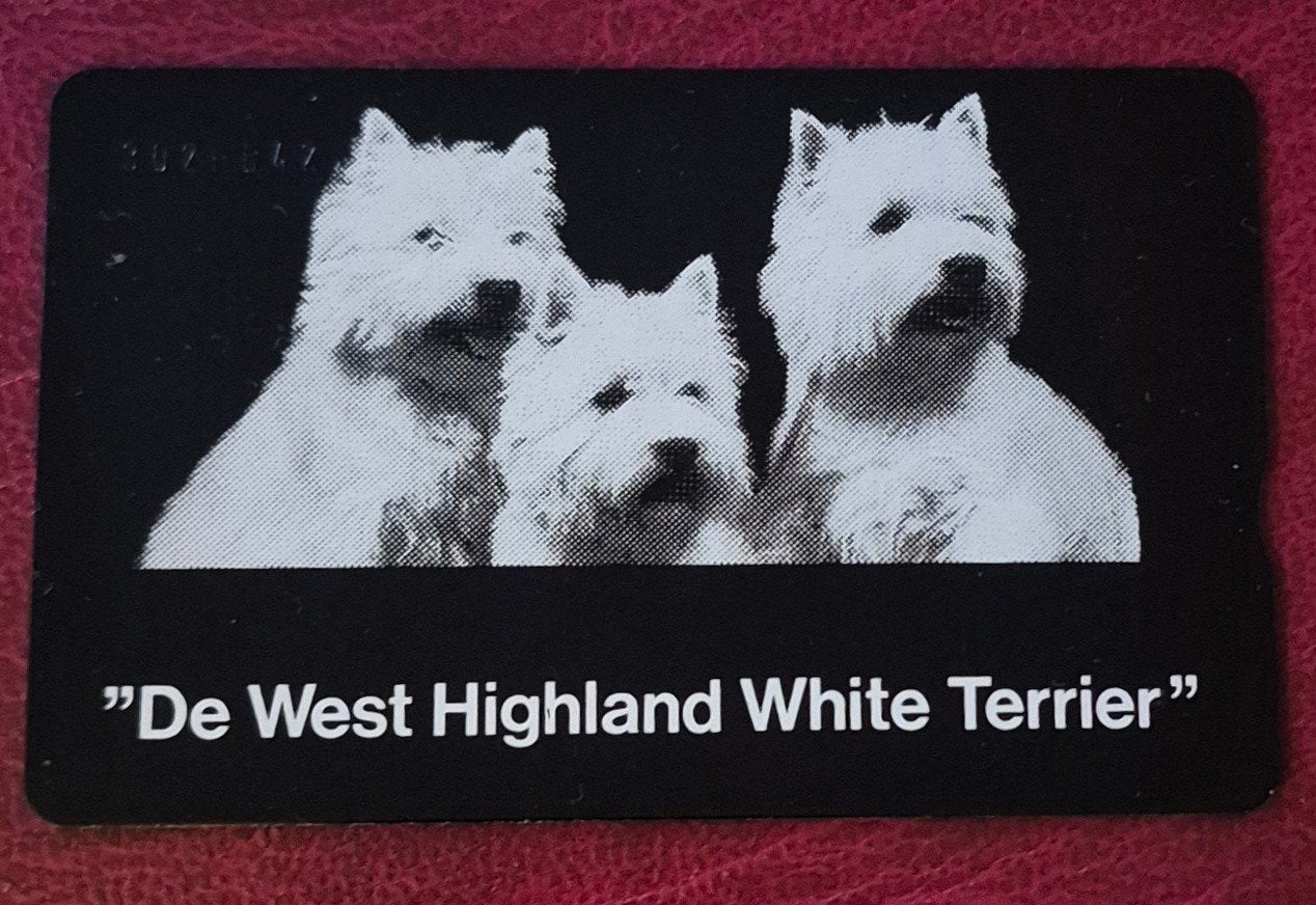 Telefoonkaart terrier, Ophalen of Verzenden