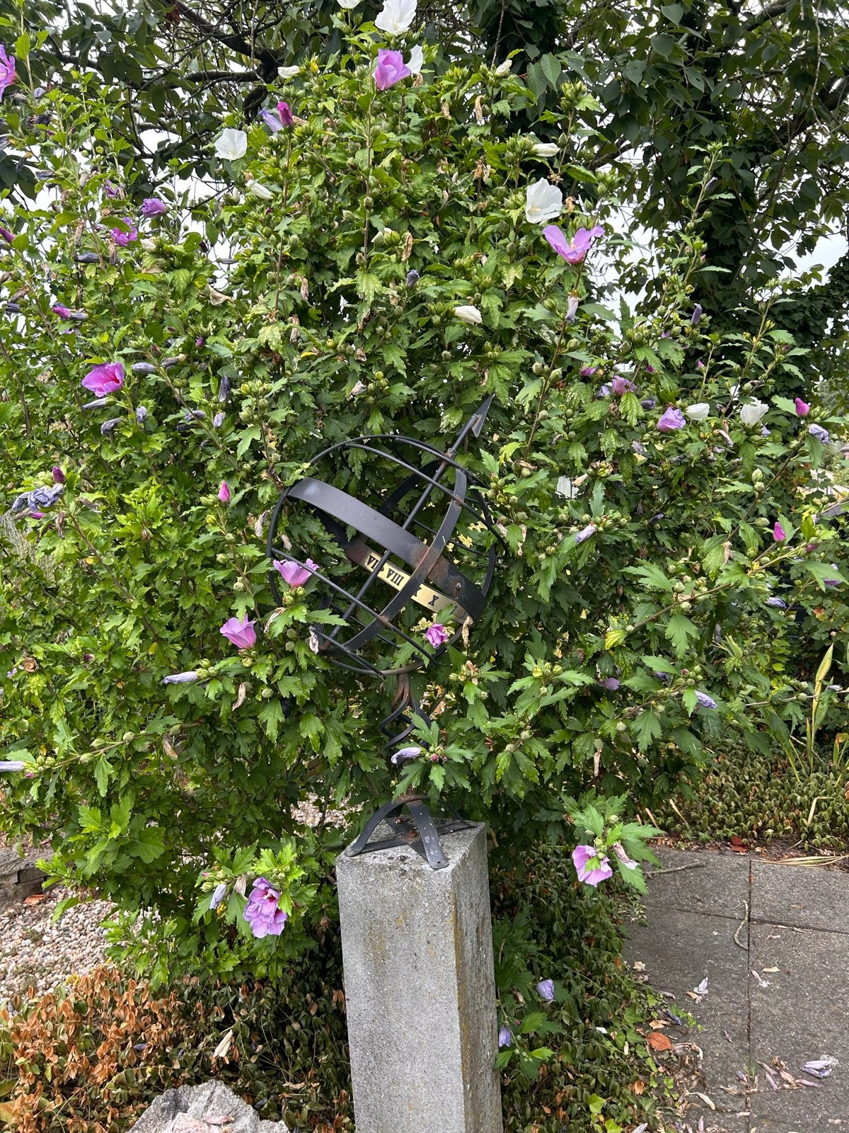 Decoratieve Zonnewijzer voor Tuin of Terras, Ophalen
