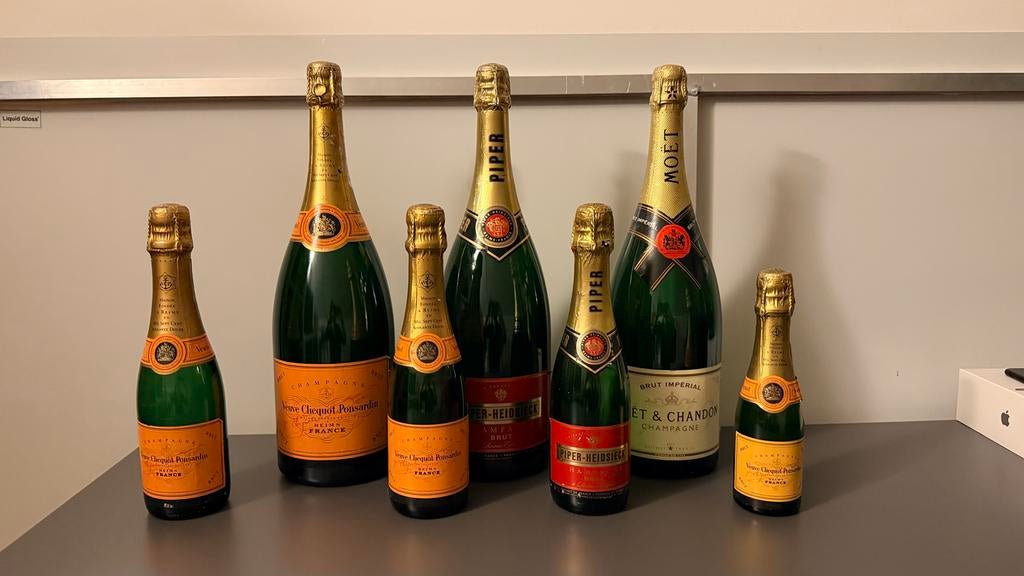Champagne dummies (lege flessen) - Decoratie/Verzameling, Verzamelen, Wijnen, Ophalen, Gebruikt, Frankrijk, Champagne