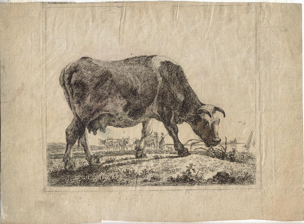Wouter Johannes van Troostwijk ets "Grazende Koe", Ophalen, 1800 - 1899, Ets, Origineel