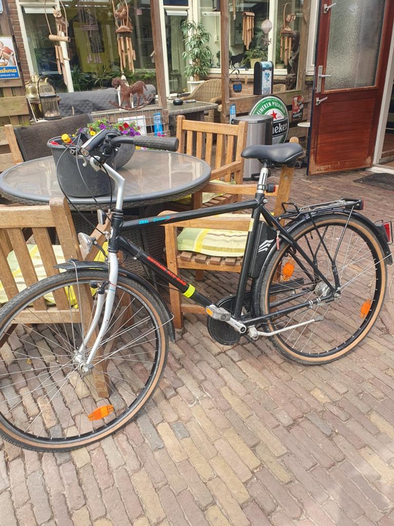 Kettler Alu-Rad ZEG Edition 25 fiets met 4 versnellingen, Ophalen