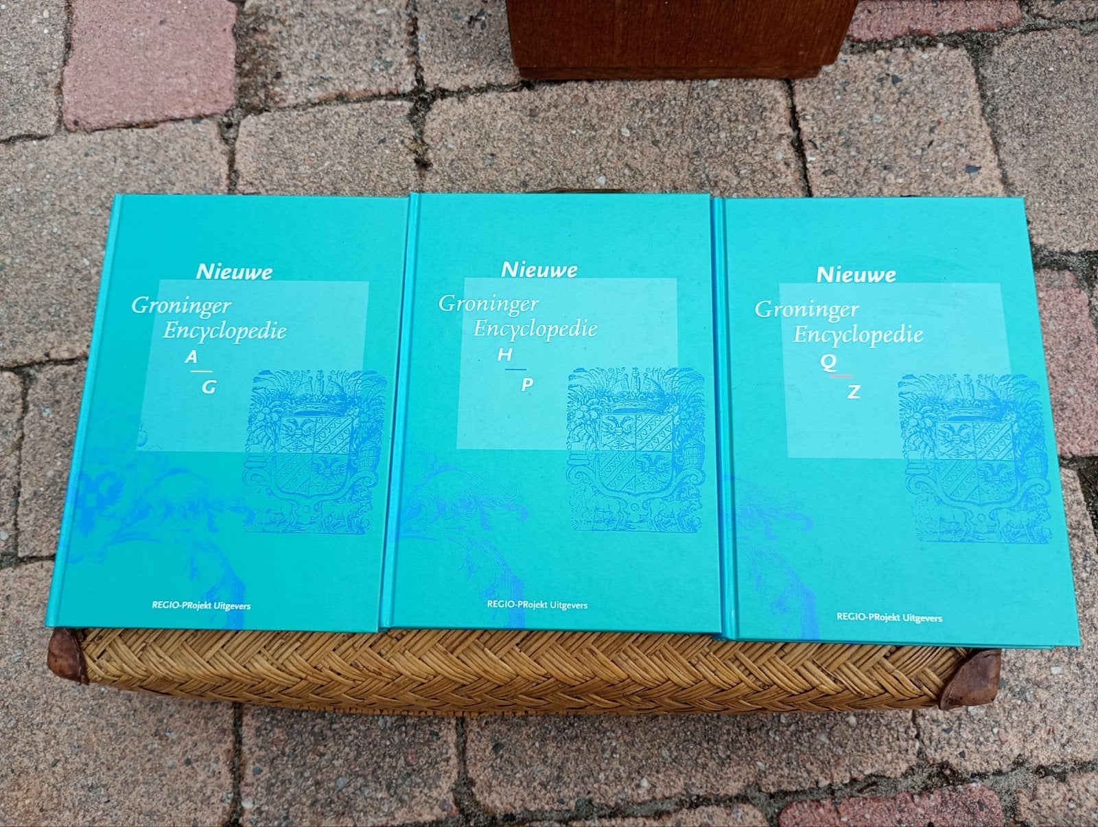Nieuwe Groninger Encyclopedie - Complete set, Boeken, Encyclopedieën, Ophalen of Verzenden, Zo goed als nieuw, Algemeen, Complete serie