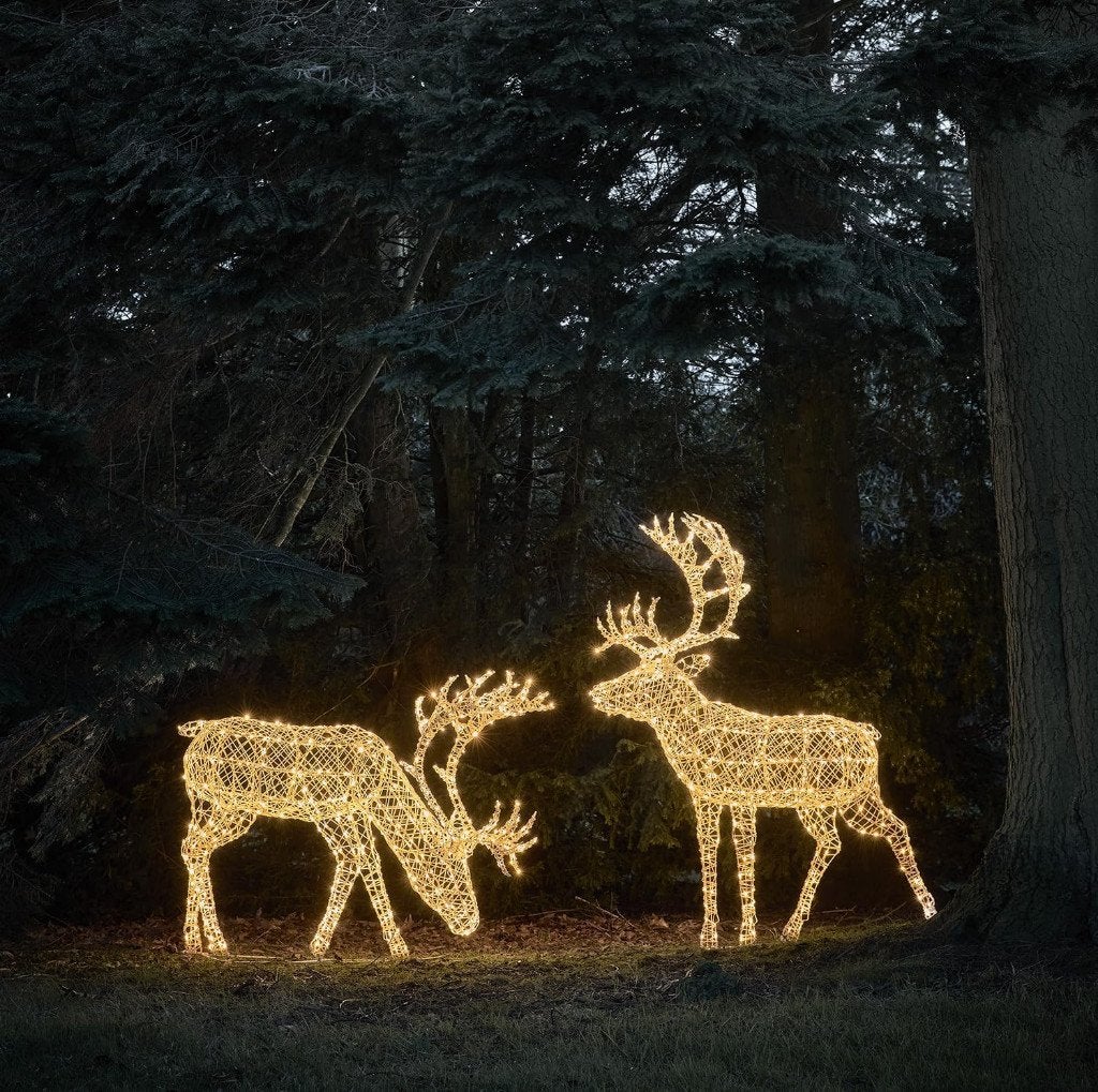 Stel LED Rendier Herten Vader & Moeder Mooie Eye-Catcher W-W, Diversen, Kerst, Ophalen of Verzenden, Nieuw