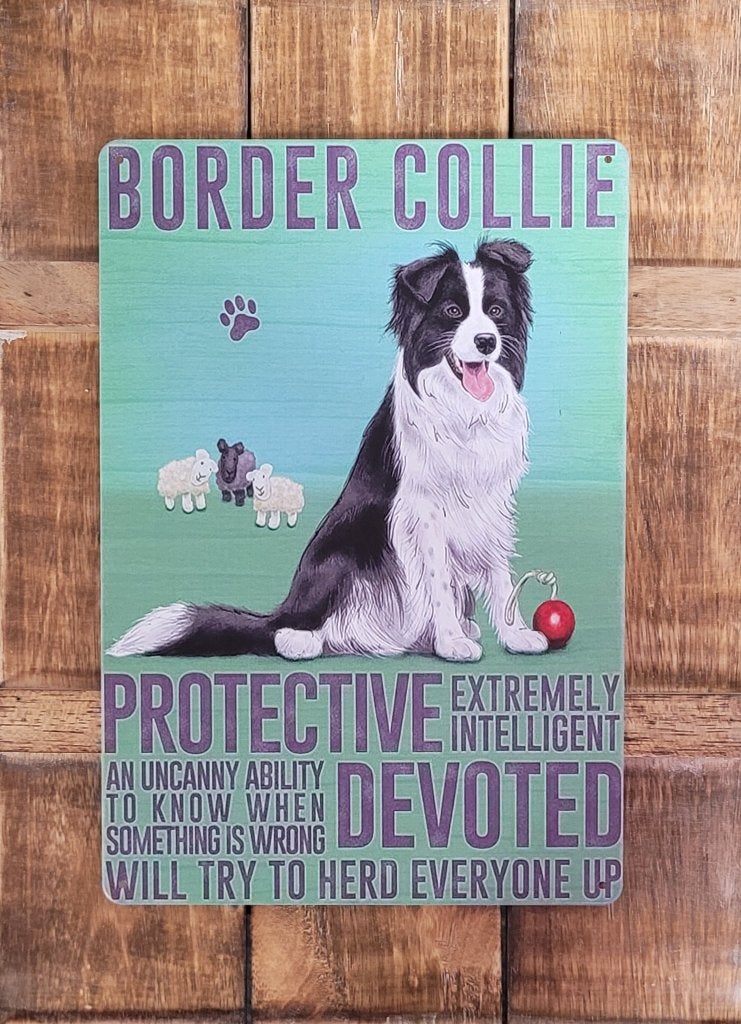Border Collie hond eigenschappen reclamebord van metaal deco, Info@deconoord.nl, Nieuw, Ophalen of Verzenden, Dedco noord