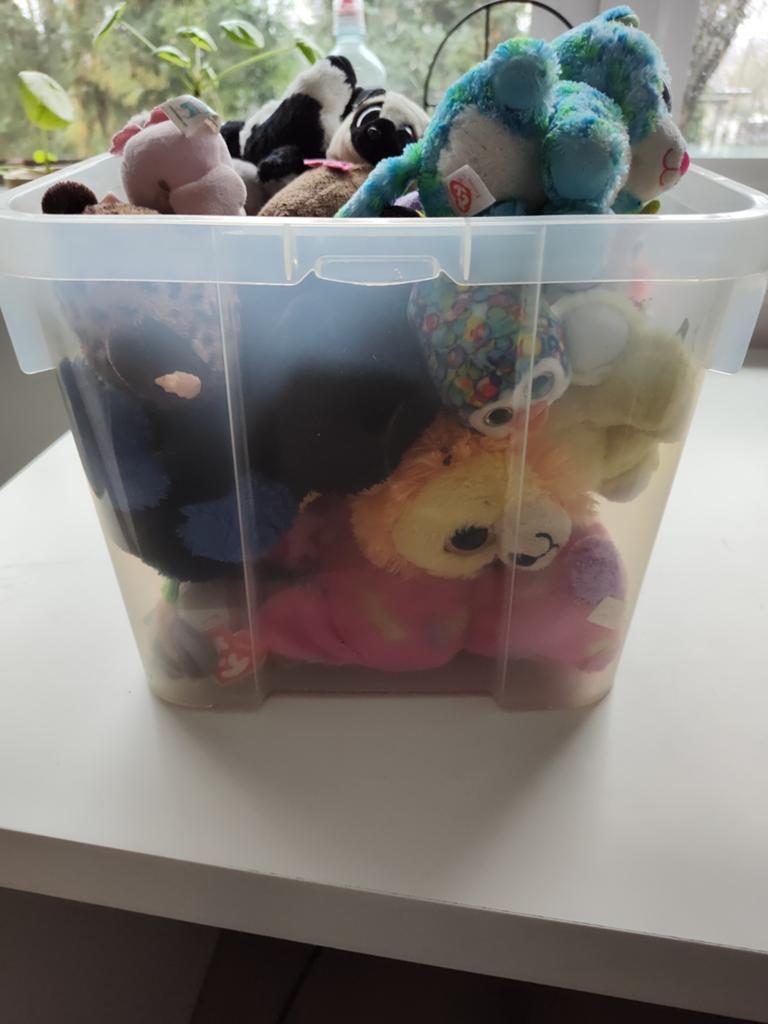 Bak Beanie Boo knuffels, Kinderen en Baby's, Speelgoed | Knuffels en Pluche, Ophalen of Verzenden, Zo goed als nieuw, Overige typen