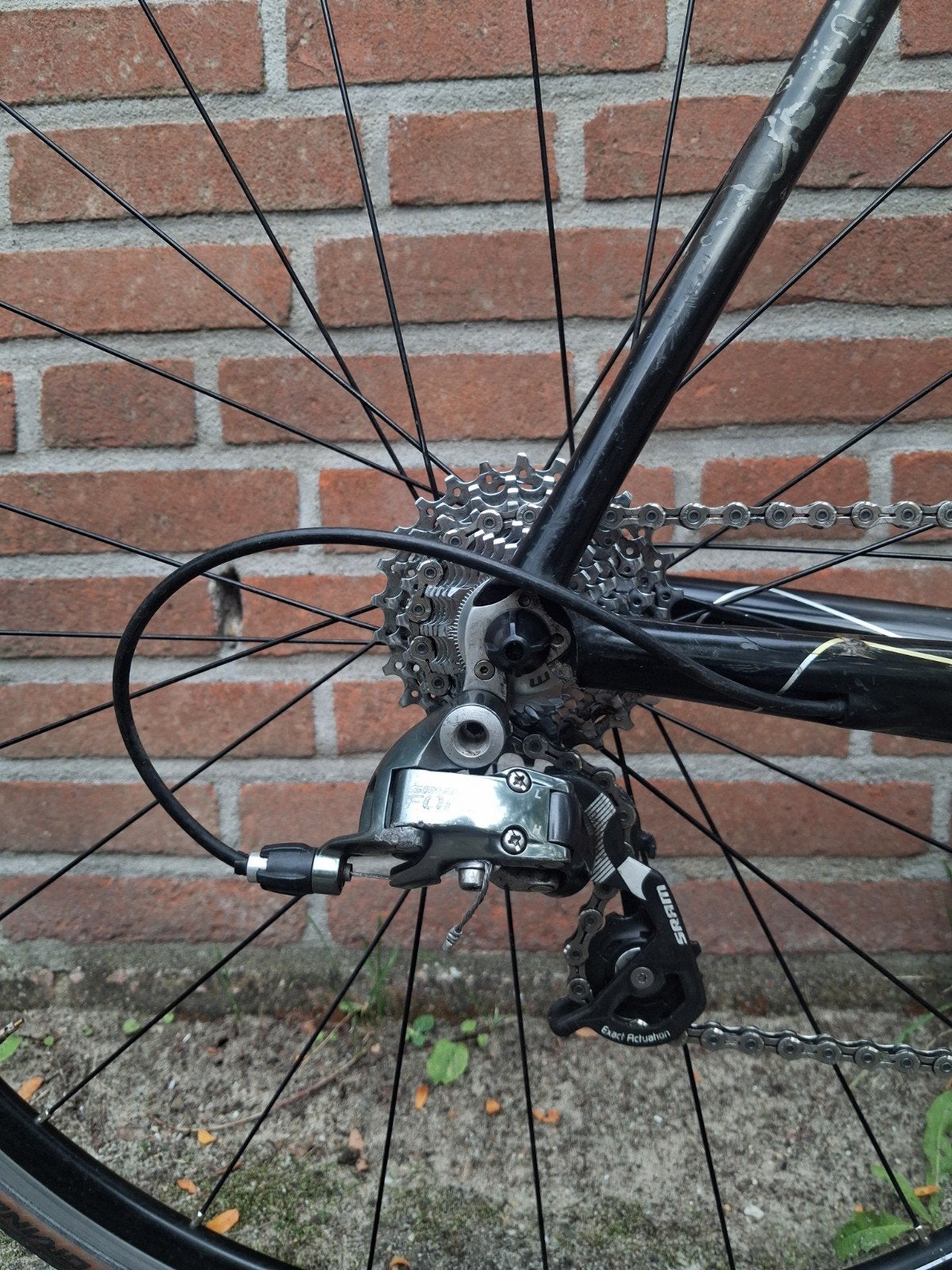 Foto 9 van Red Bull (Rose) Carbon-SL 4400