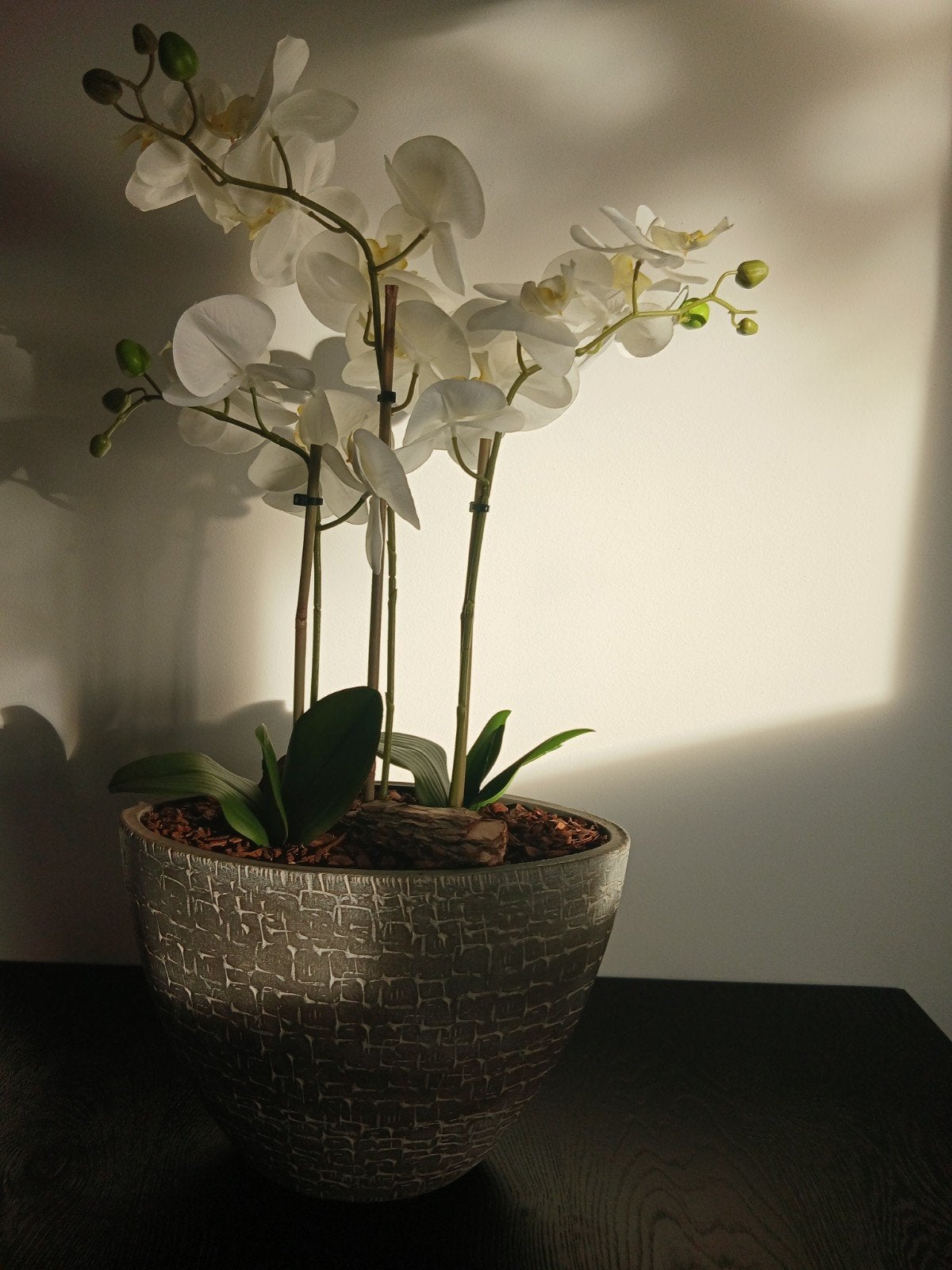 Prachtige kunst orchidee in stijlvolle pot, Ophalen, Binnen, 70 cm, Onderhoudsvrij