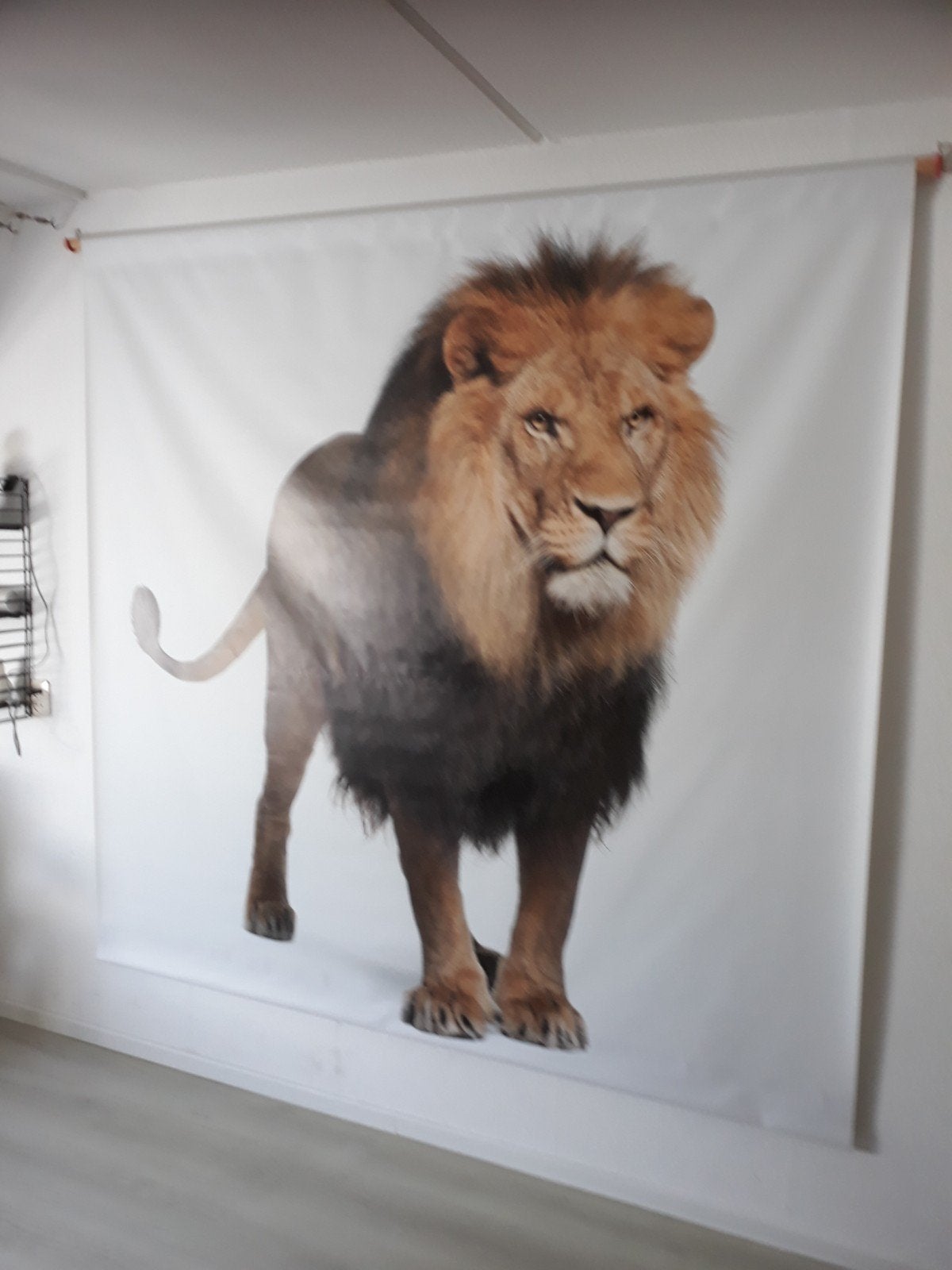 Groot wandkleed met majestueuze leeuw, Ophalen, Meerkleurig, Zo goed als nieuw, Modern