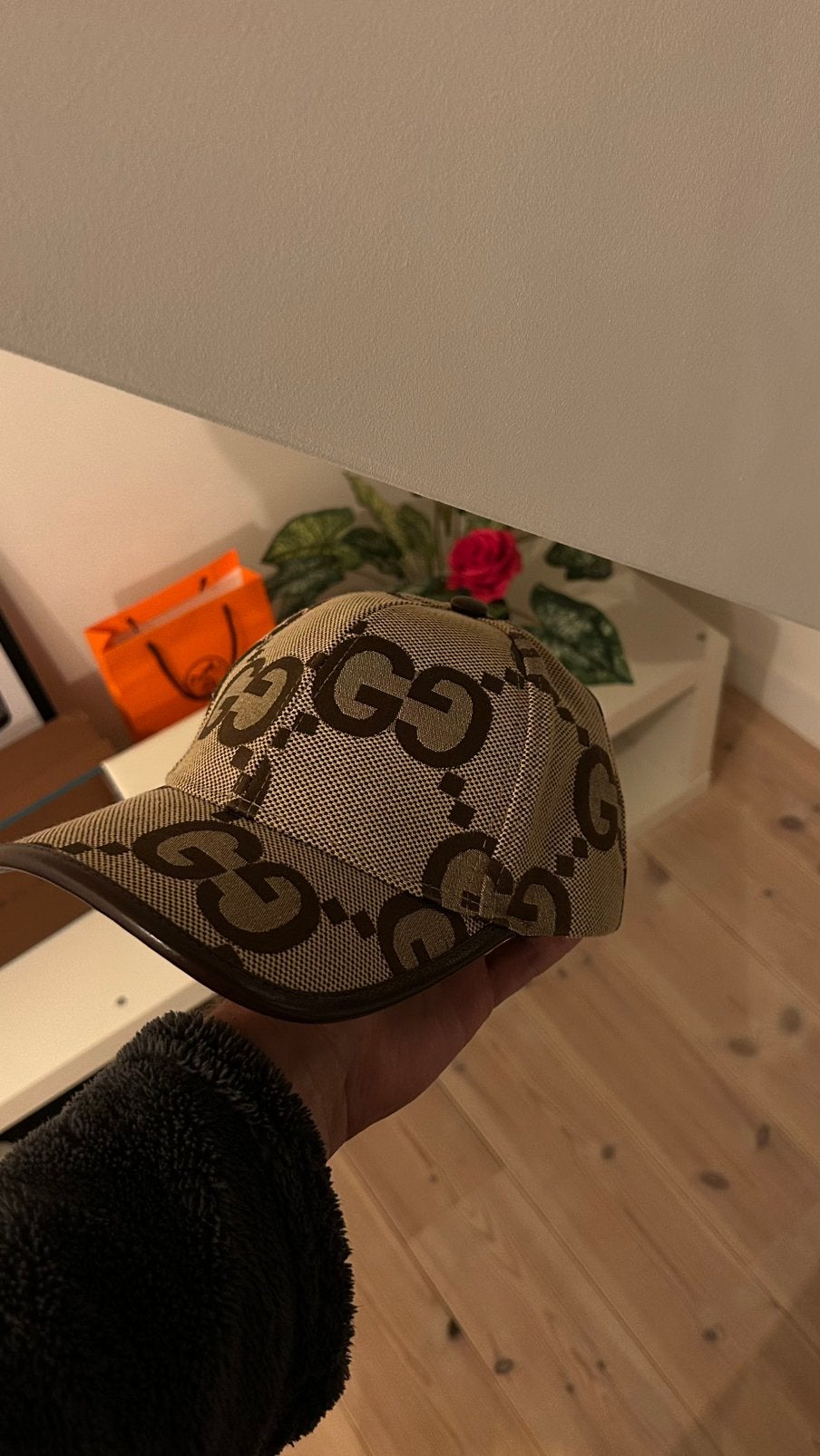 Gucci pet groot logo, Ophalen of Verzenden, Nieuw, One size fits all, Pet