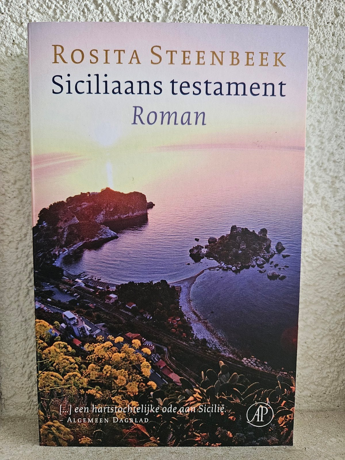 Rosita Steenbeek - Siciliaans testament (Roman), Ophalen of Verzenden, Zo goed als nieuw, Rosita Steenbeek, Nederland