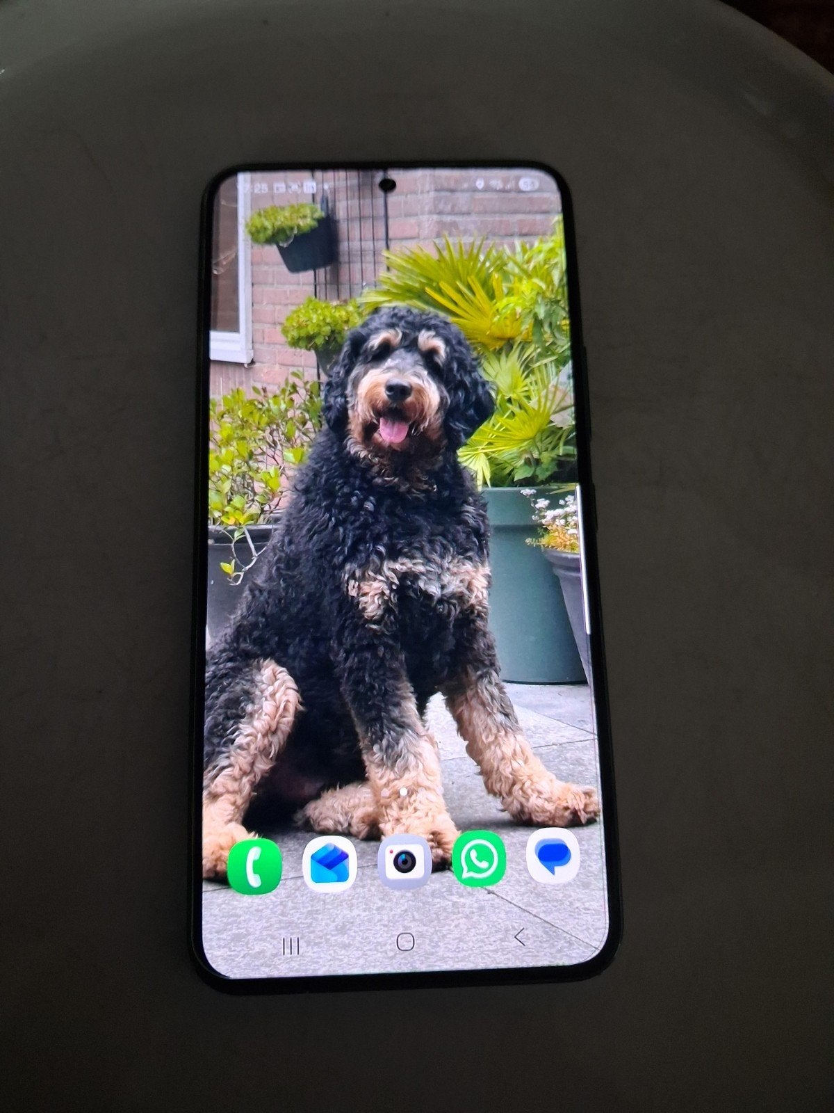 Samsung Galaxy S22 - Zo goed als nieuw met beschermplaatje