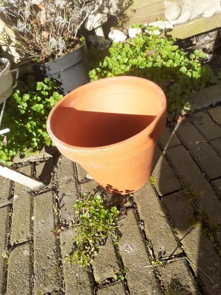 Terracotta bloempot  20 cm., Tuin en Terras, Bloembakken en Plantenbakken, Ophalen, Rond, Steen, Minder dan 30 cm