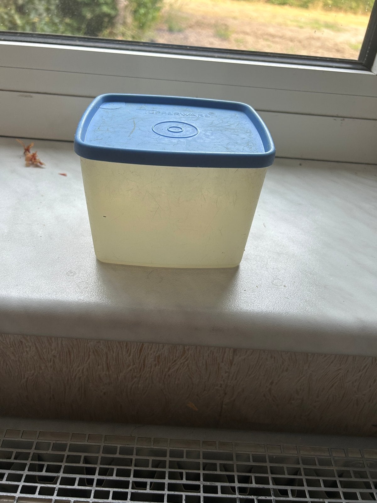 Tupperware bewaarbakje met blauw deksel, Ophalen of Verzenden, Gebruikt, Blauw, Bak of Kom