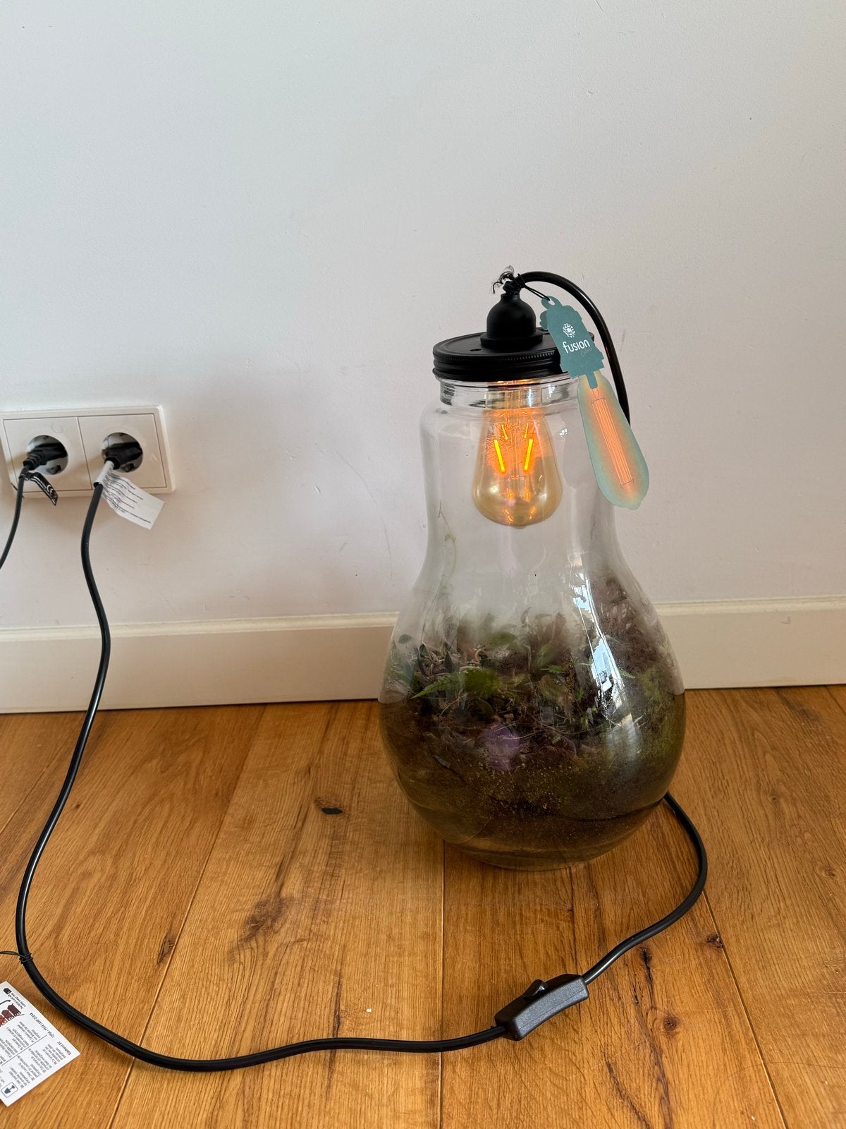 Fusion Terrarium Lamp - Unieke Sfeerverlichting, Huis en Inrichting, Overige merken, Meerkleurig, E27 (groot), Zo goed als nieuw