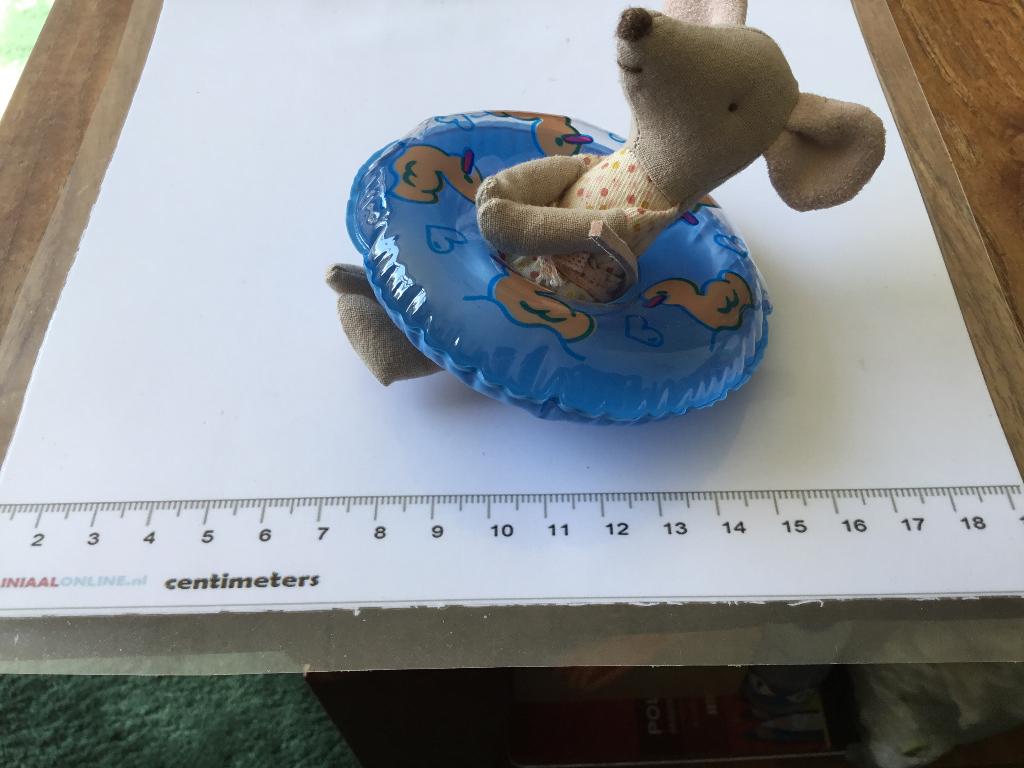 Poppenhuis miniaturen zwemband, Ophalen of Verzenden, Nieuw, Poppenhuis