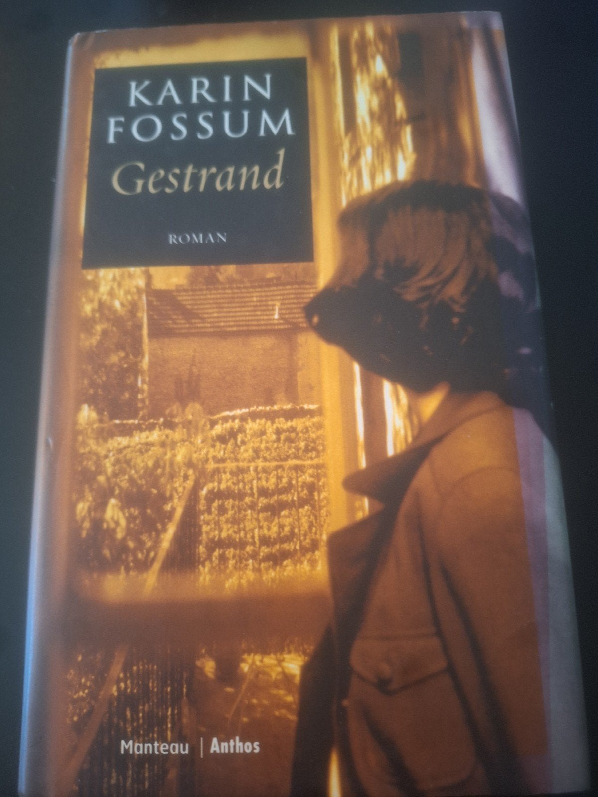 Gestrand - Karin Fossum (Roman), Ophalen of Verzenden, Zo goed als nieuw, Karin Fossum, Europa overig