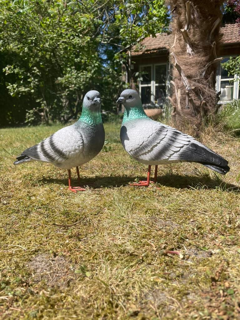 Koppel duiven set beeld tuin terras vogels dieren, Tuin en Terras, Tuinbeelden, Ophalen of Verzenden, Nieuw, Kunststof, Dierenbeeld