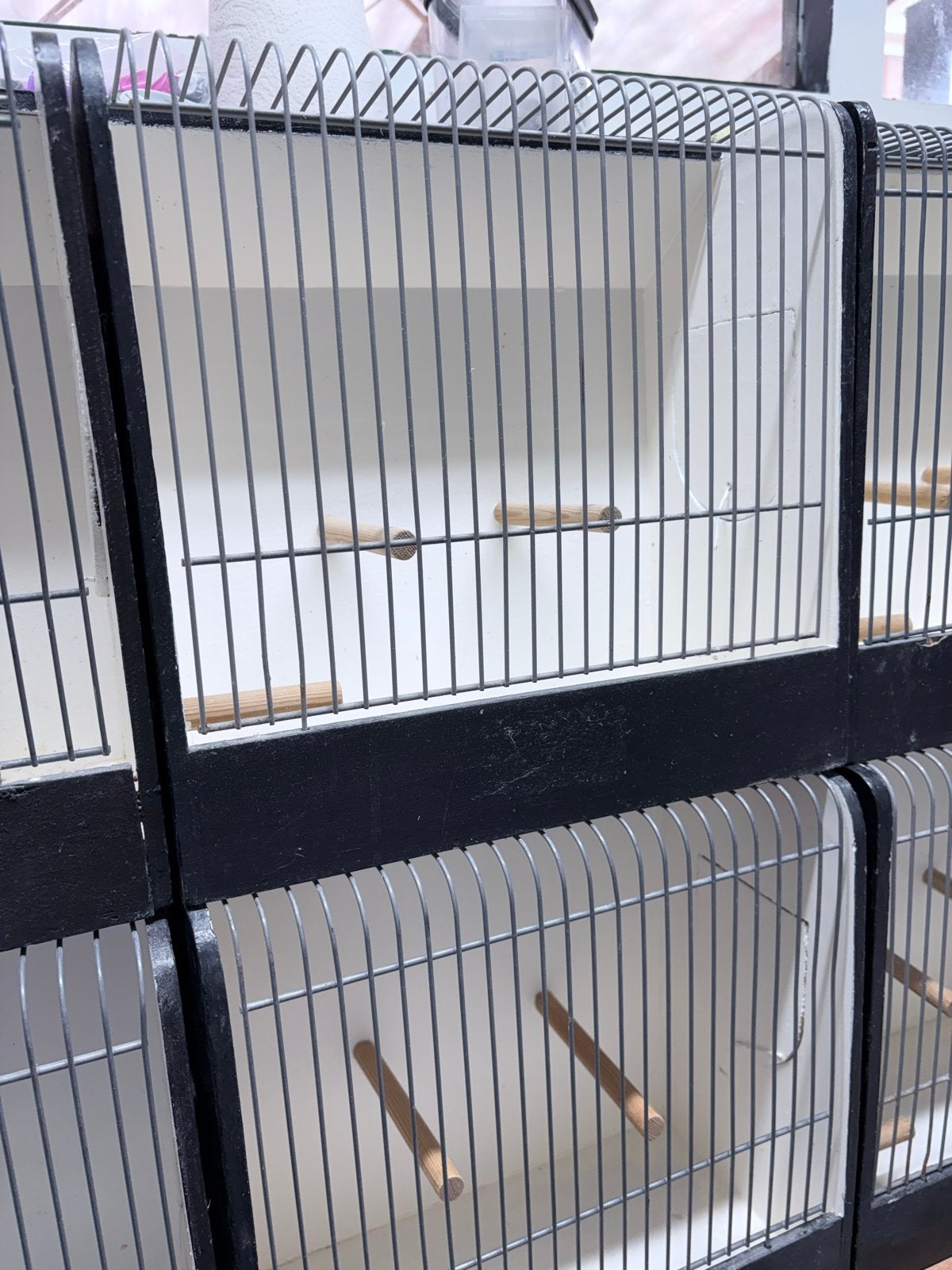 Tentoonstellingskooien kanaries en tropen, Dieren en Toebehoren, Vogels | Hokken en Kooien, Ophalen, Gebruikt, Hout, Overige typen