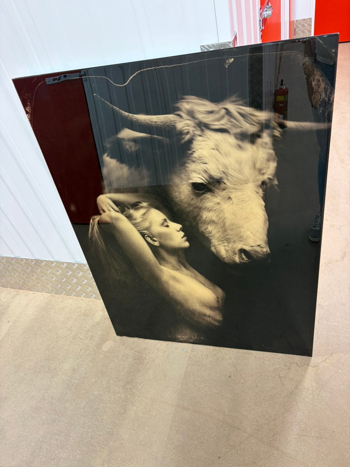 Ginvi Wall Art foto op glas, Ophalen