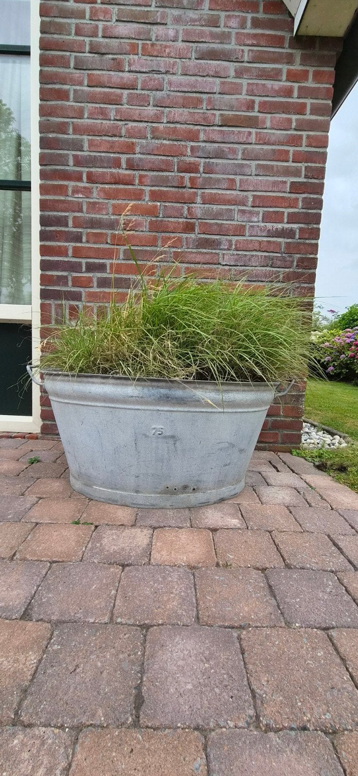 Zinken plantenbak inclusief plant - 85 x 60 cm, Tuin en Terras, Bloembakken en Plantenbakken, Ophalen, Gebruikt, Balkon, Metaal