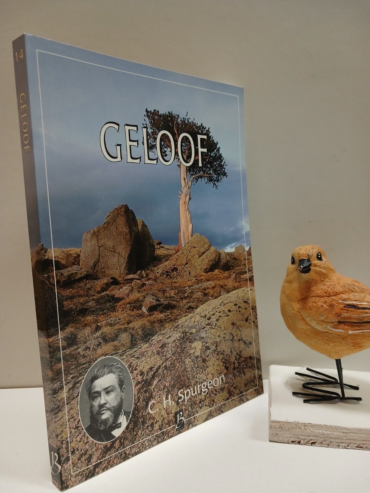 Spurgeon, C.H.; Geloof: Boekhout nr 14, Boeken, Ophalen of Verzenden, Gelezen, Christendom | Protestants