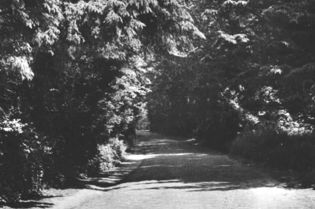 966632 Renesse de Loane JULIANA HOEVE Gelopen met postzegel, Ophalen of Verzenden, 1960 tot 1980, Gelopen, Zeeland