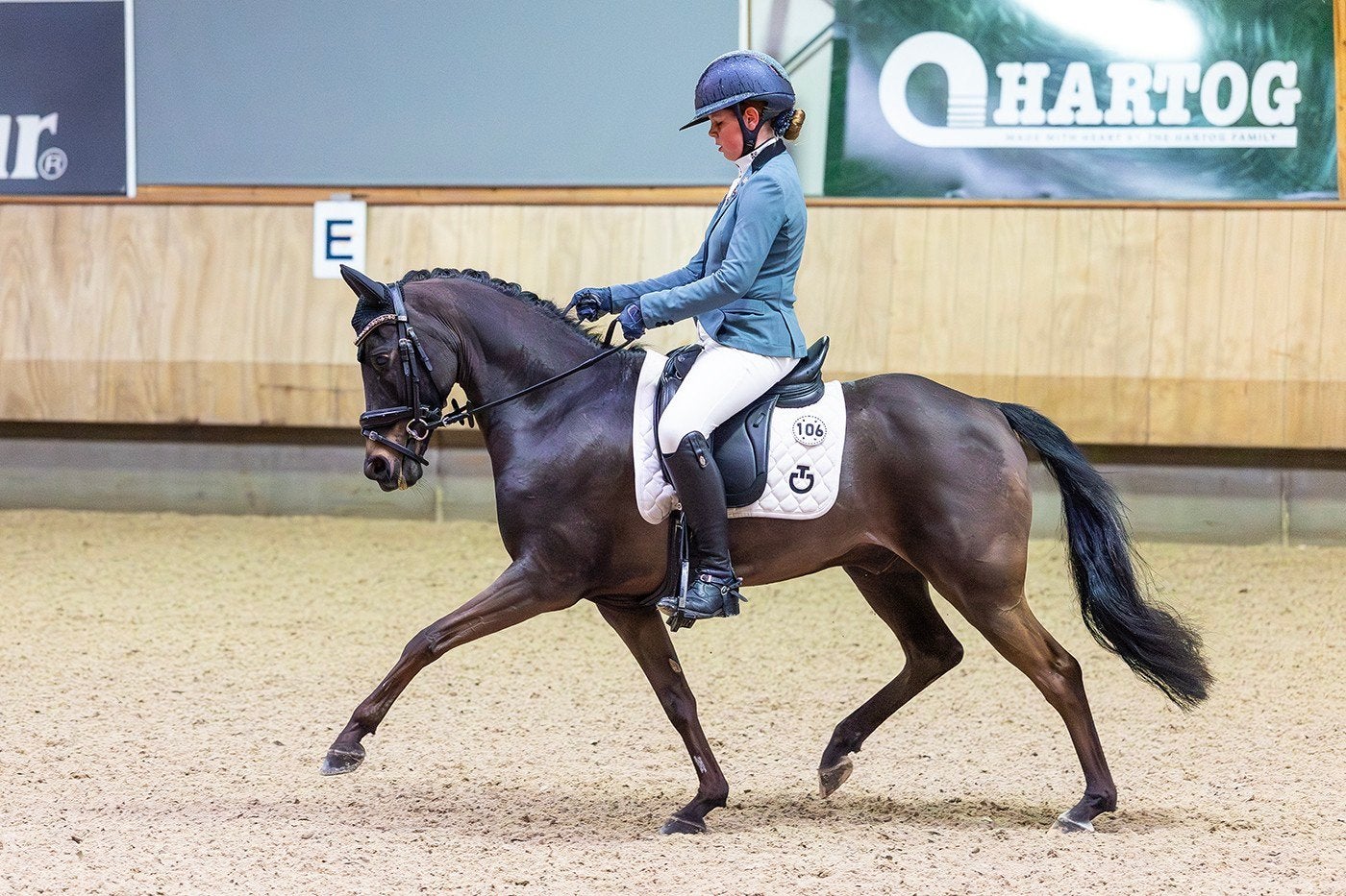 Knappe talentvolle Z2 C pony, ruin., Dieren en Toebehoren, Hengst