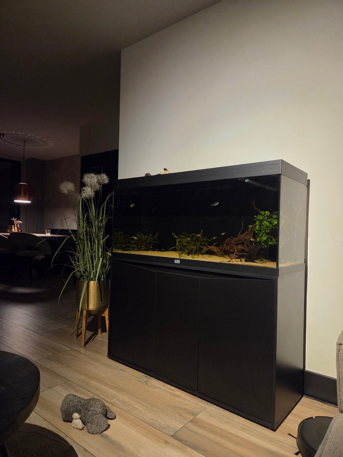 aquarium 120cm. aqualantis splendit met co2 instalati, Dieren en Toebehoren, Vissen | Aquaria en Toebehoren, Ophalen, Aquatlantis