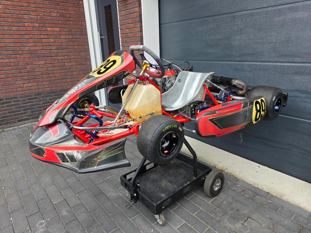 Birel Motorsport Kart met Gereviseerde Rotax Max Senior, Sport en Fitness, Karting, Ophalen, Gebruikt, Kart