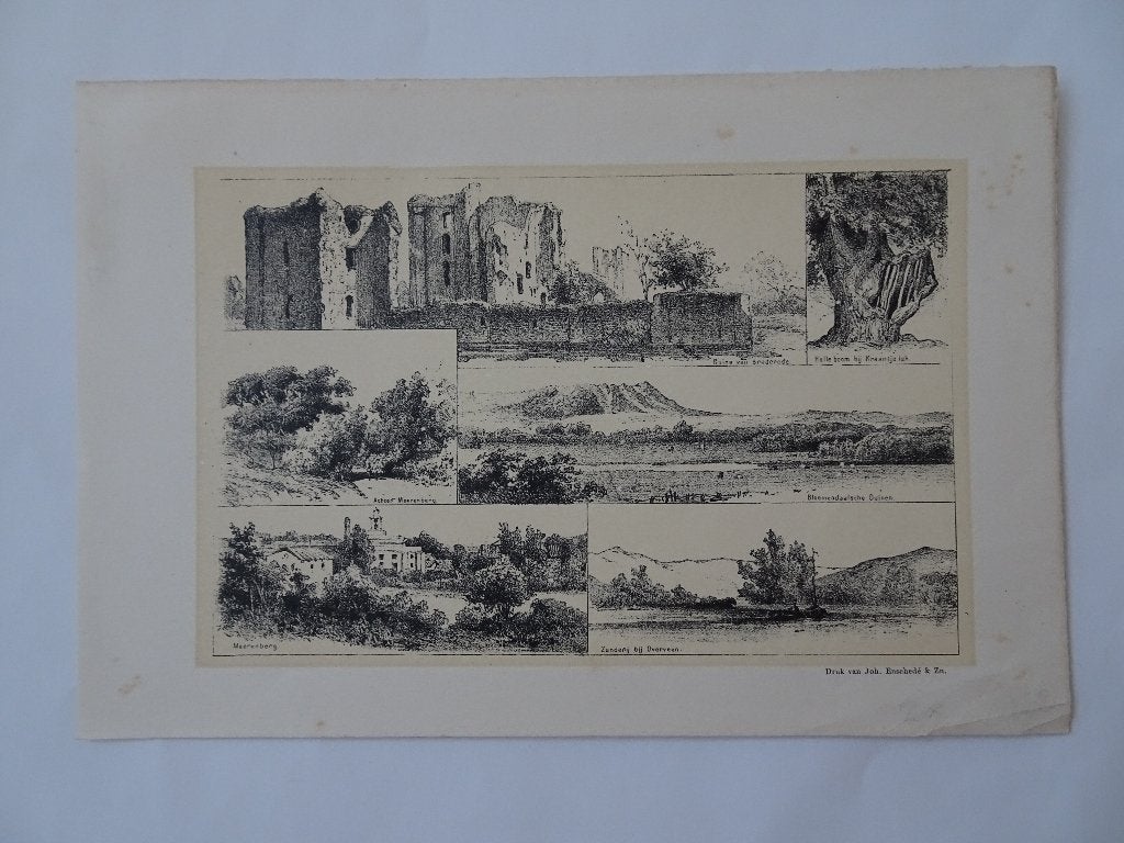 litho Kraantje Lek Ruine Brederode Bloemendaalse duinen 1890, Origineel, Verzenden, Landschappen, Lithografie