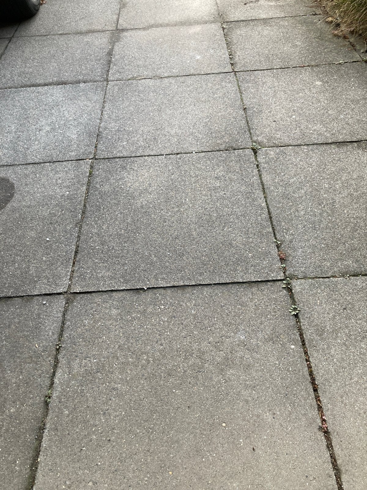 40m2 Gebruikte grijze betonnen tegels 50x50x8, Tuin en Terras, Ophalen, Gebruikt, 10 m² of meer, Beton